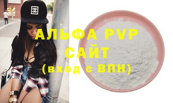 сатива Беломорск