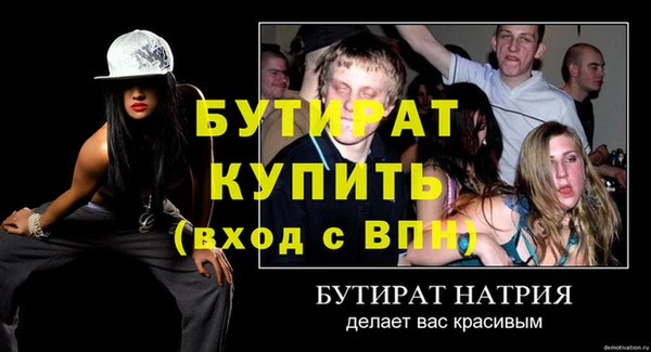 сатива Беломорск