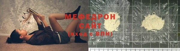сатива Беломорск