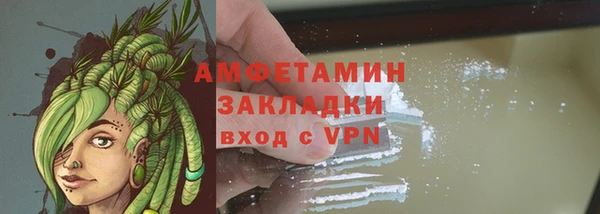 сатива Беломорск