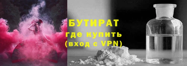 сатива Беломорск