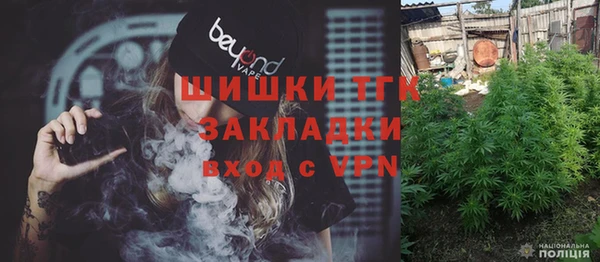 сатива Беломорск