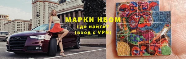 сатива Беломорск