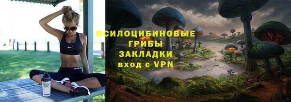 дмт Белокуриха