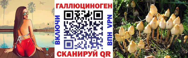 Галлюциногенные грибы мухоморы  купить  цена  Воркута 